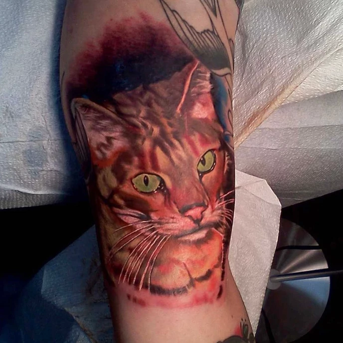 Sacred Mandala Studio - Russ Howie - color bicep tattoo of a cat's head.